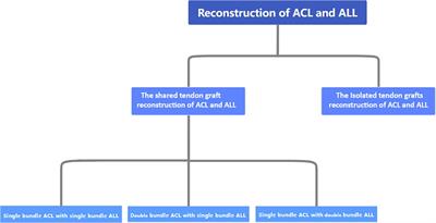 Progress in research on and classification of surgical methods of arthroscopic reconstruction of the ACL and ALL using a shared tendon graft through the femoral tunnel